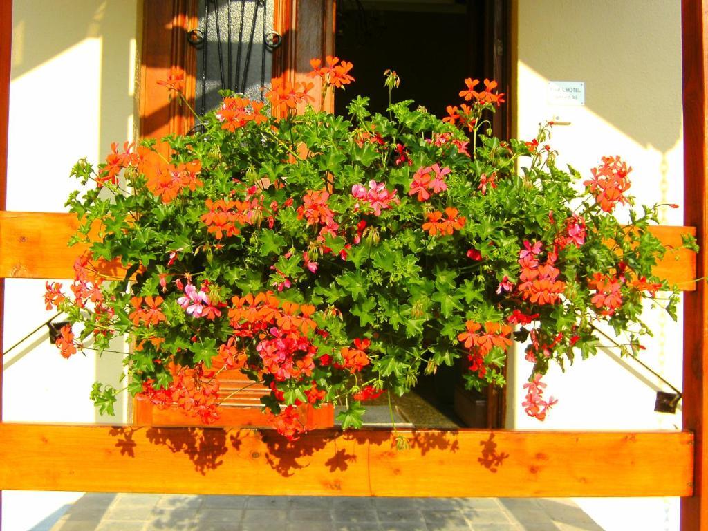 B&B Le Petit Normand Jalhay Dış mekan fotoğraf